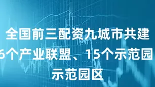 全国前三配资九城市共建16个产业联盟、15个示范园区
