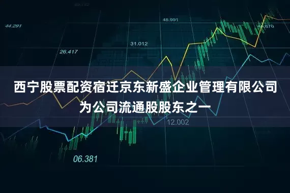 西宁股票配资宿迁京东新盛企业管理有限公司为公司流通股股东之一