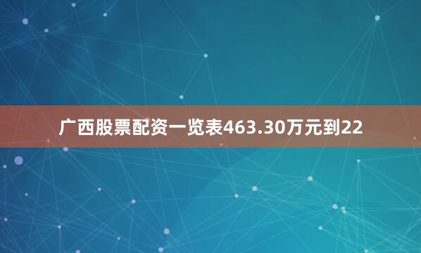 广西股票配资一览表463.30万元到22